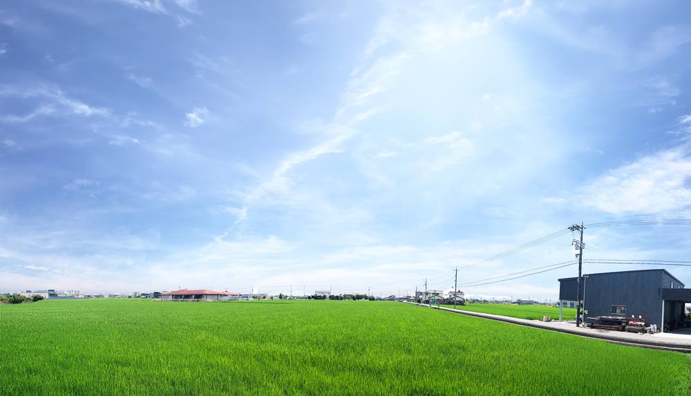ウェッジタウン内尾 周辺の田園風景